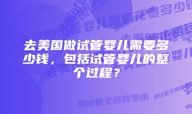 去美国做试管婴儿需要多少钱，包括试管婴儿的整个过程？