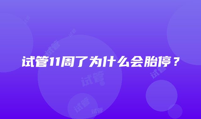 试管11周了为什么会胎停？