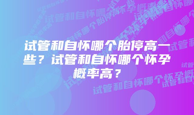 试管和自怀哪个胎停高一些？试管和自怀哪个怀孕概率高？