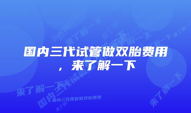 国内三代试管做双胎费用，来了解一下