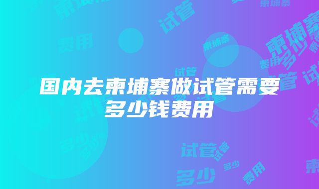 国内去柬埔寨做试管需要多少钱费用