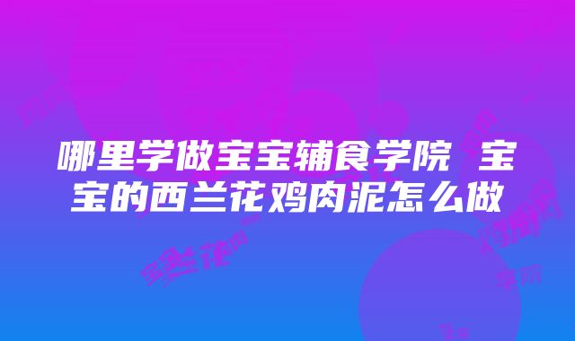 哪里学做宝宝辅食学院 宝宝的西兰花鸡肉泥怎么做