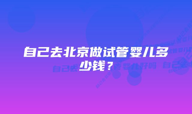 自己去北京做试管婴儿多少钱？