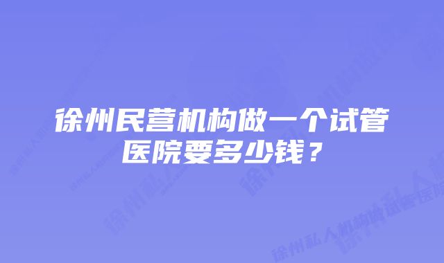 徐州民营机构做一个试管医院要多少钱？