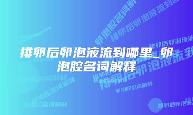 排卵后卵泡液流到哪里_卵泡腔名词解释