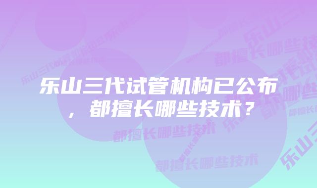 乐山三代试管机构已公布，都擅长哪些技术？