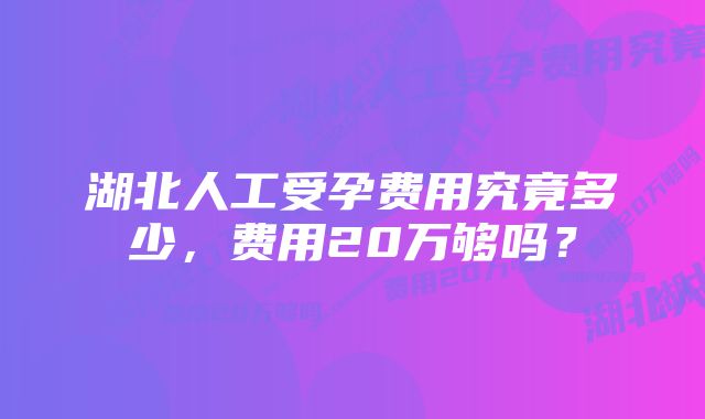 湖北人工受孕费用究竟多少，费用20万够吗？