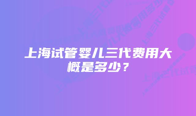 上海试管婴儿三代费用大概是多少？