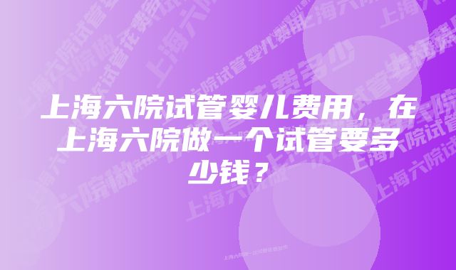 上海六院试管婴儿费用，在上海六院做一个试管要多少钱？