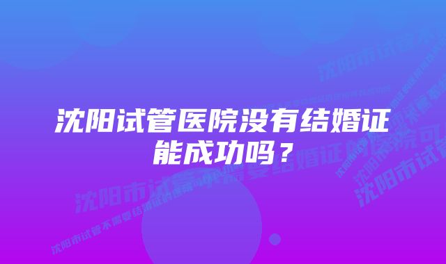 沈阳试管医院没有结婚证能成功吗？