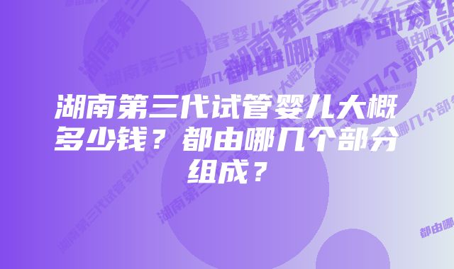 湖南第三代试管婴儿大概多少钱？都由哪几个部分组成？