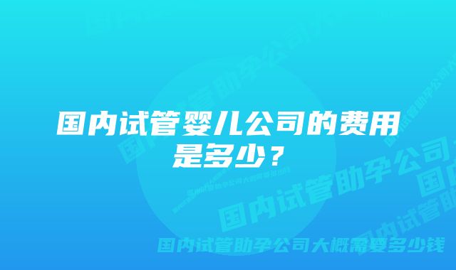 国内试管婴儿公司的费用是多少？