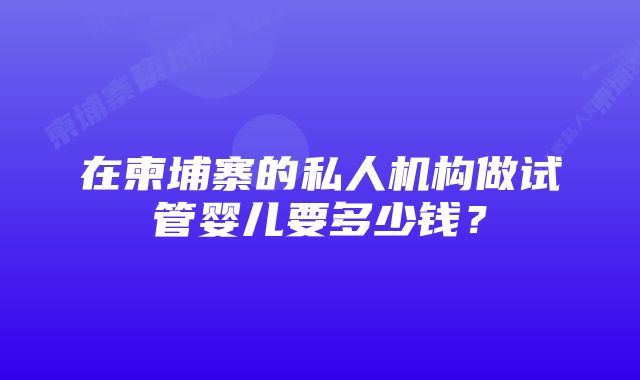 在柬埔寨的私人机构做试管婴儿要多少钱？