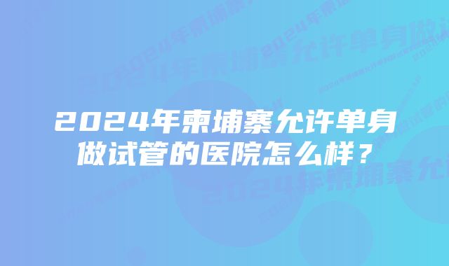 2024年柬埔寨允许单身做试管的医院怎么样？