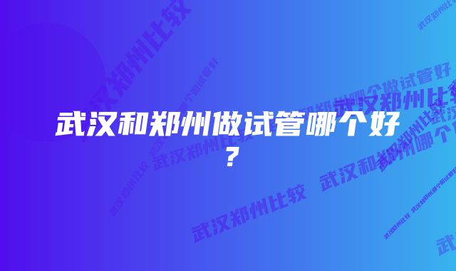 武汉和郑州做试管哪个好？