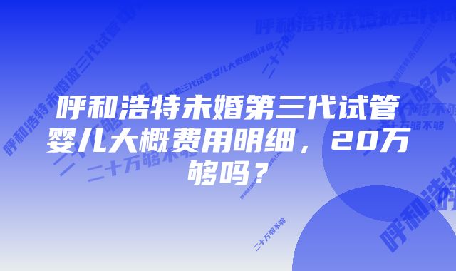 呼和浩特未婚第三代试管婴儿大概费用明细，20万够吗？