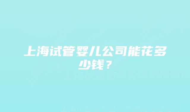 上海试管婴儿公司能花多少钱？