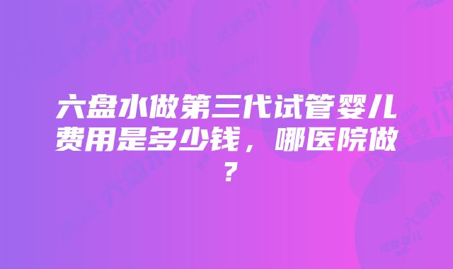 六盘水做第三代试管婴儿费用是多少钱，哪医院做？