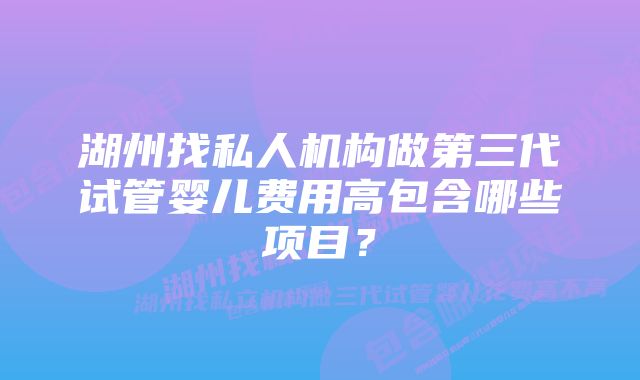 湖州找私人机构做第三代试管婴儿费用高包含哪些项目？