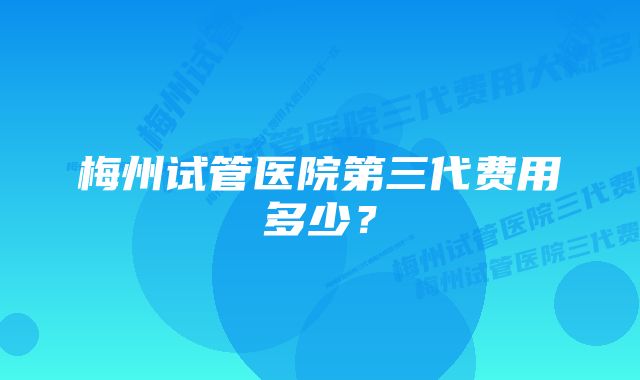 梅州试管医院第三代费用多少？