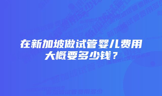 在新加坡做试管婴儿费用大概要多少钱？