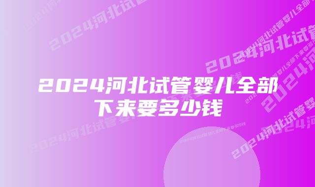 2024河北试管婴儿全部下来要多少钱