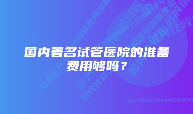 国内著名试管医院的准备费用够吗？