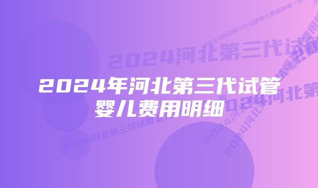 2024年河北第三代试管婴儿费用明细