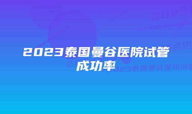 2023泰国曼谷医院试管成功率