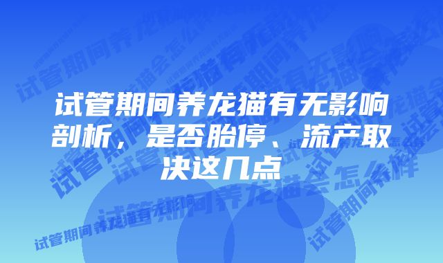 试管期间养龙猫有无影响剖析，是否胎停、流产取决这几点