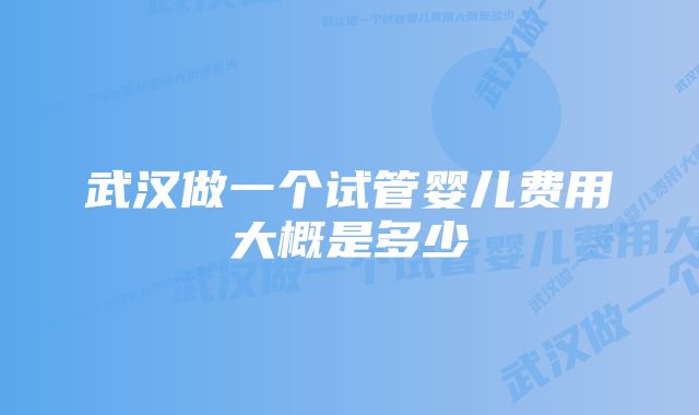 武汉做一个试管婴儿费用大概是多少