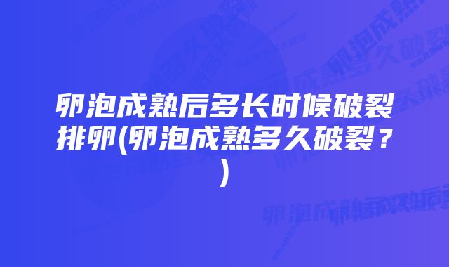 卵泡成熟后多长时候破裂排卵(卵泡成熟多久破裂？)