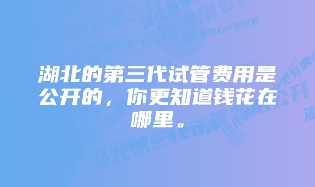 湖北的第三代试管费用是公开的，你更知道钱花在哪里。