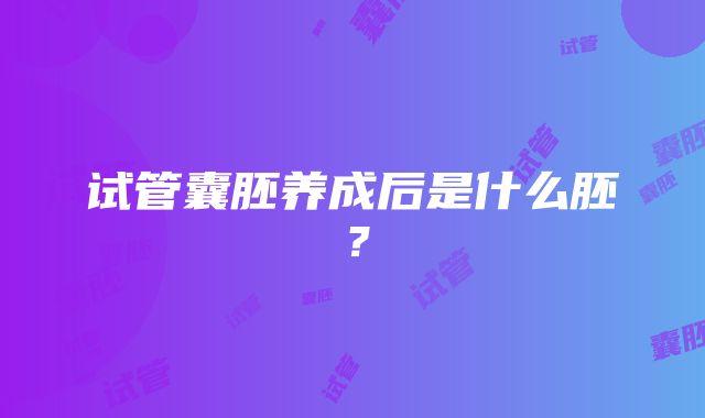 试管囊胚养成后是什么胚？