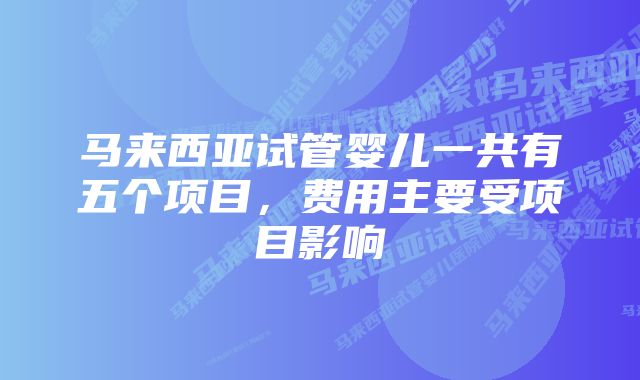 马来西亚试管婴儿一共有五个项目，费用主要受项目影响