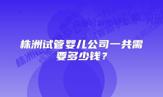 株洲试管婴儿公司一共需要多少钱？