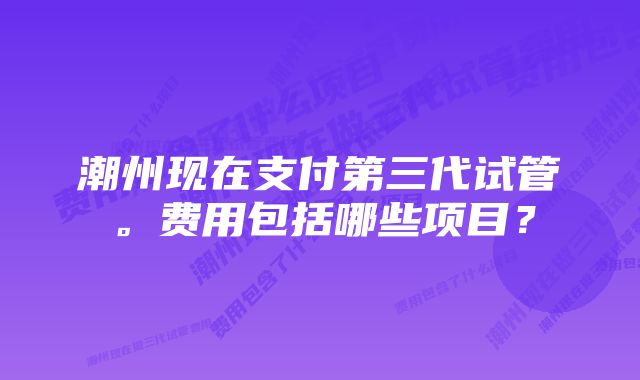 潮州现在支付第三代试管。费用包括哪些项目？