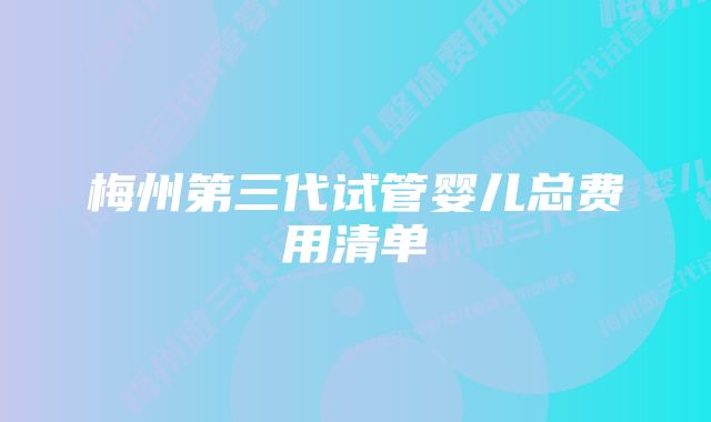 梅州第三代试管婴儿总费用清单