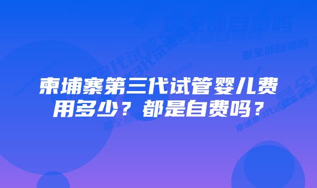 柬埔寨第三代试管婴儿费用多少？都是自费吗？