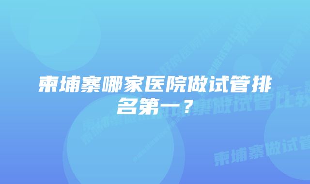 柬埔寨哪家医院做试管排名第一？