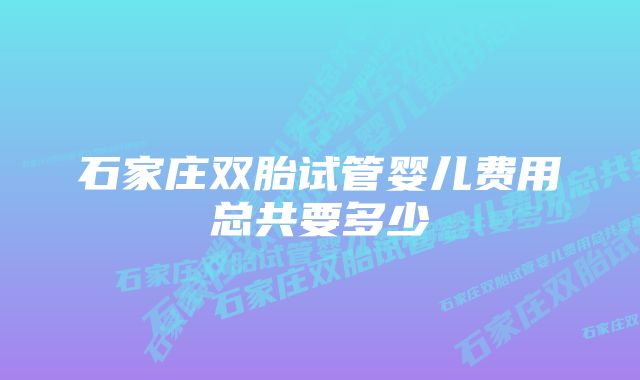 石家庄双胎试管婴儿费用总共要多少