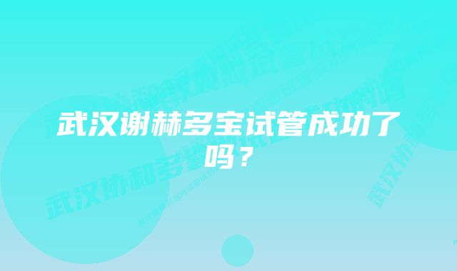 武汉谢赫多宝试管成功了吗？