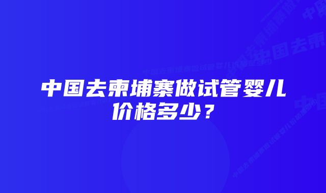 中国去柬埔寨做试管婴儿价格多少？