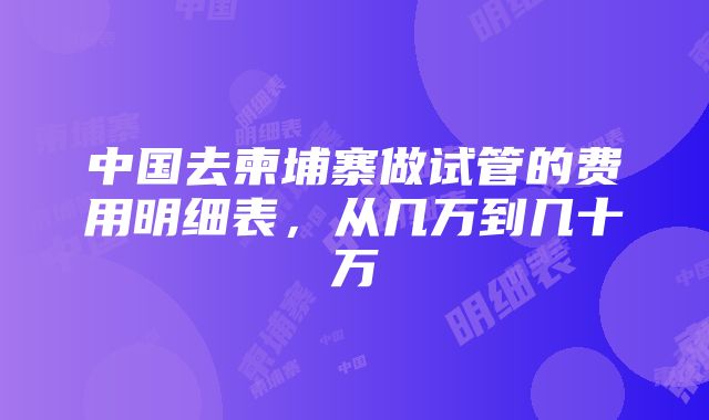 中国去柬埔寨做试管的费用明细表，从几万到几十万