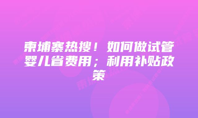 柬埔寨热搜！如何做试管婴儿省费用；利用补贴政策