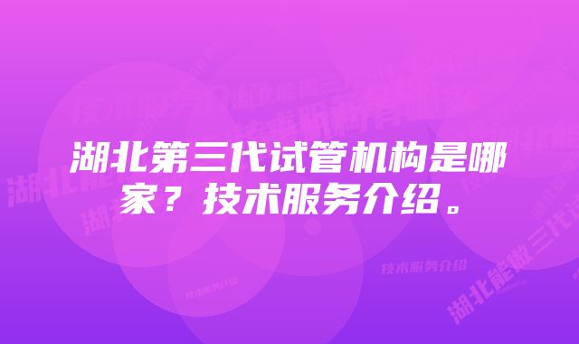 湖北第三代试管机构是哪家？技术服务介绍。