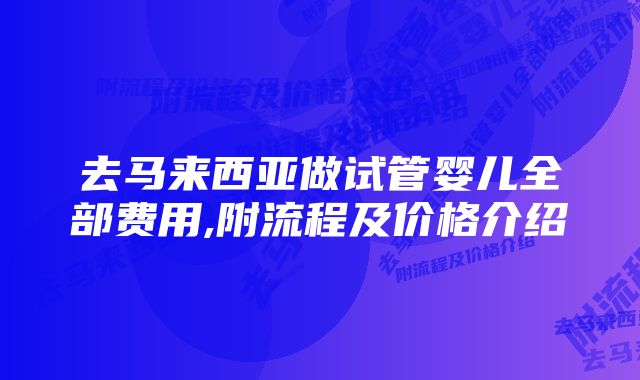 去马来西亚做试管婴儿全部费用,附流程及价格介绍