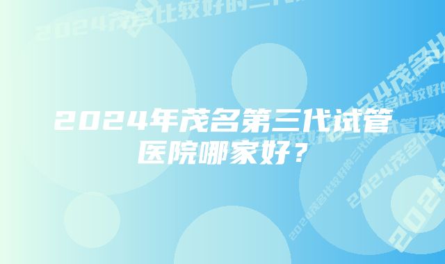 2024年茂名第三代试管医院哪家好？