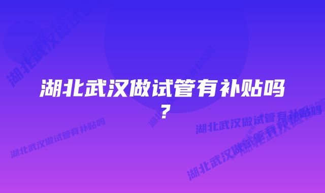 湖北武汉做试管有补贴吗？