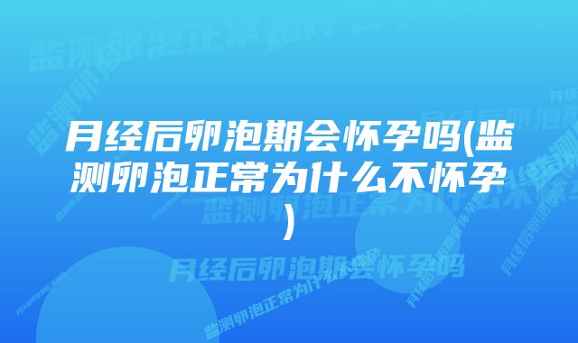 月经后卵泡期会怀孕吗(监测卵泡正常为什么不怀孕)